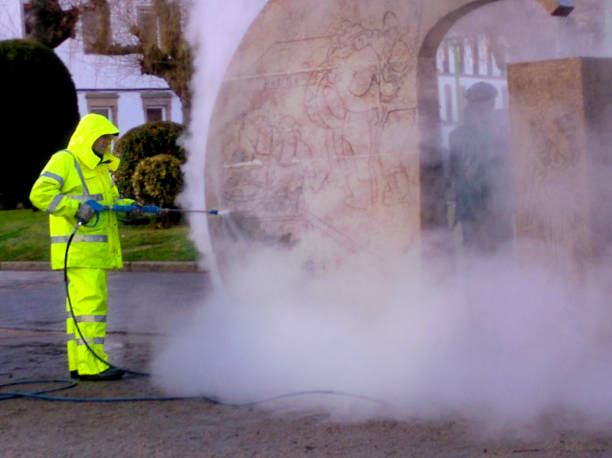 Best Exterior Home Cleaning  in Albertson, NY