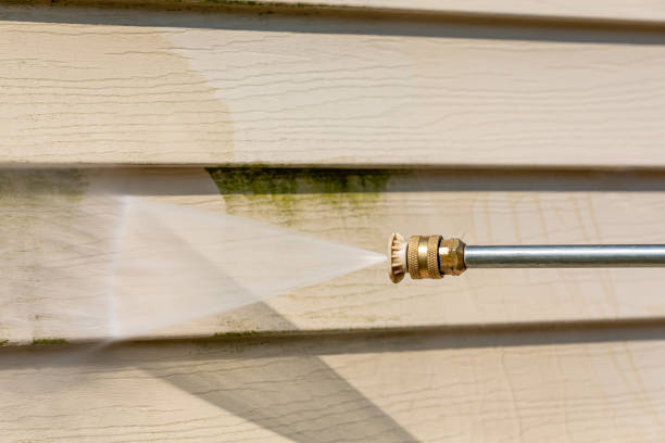 Best Roof Pressure Washing  in Albertson, NY