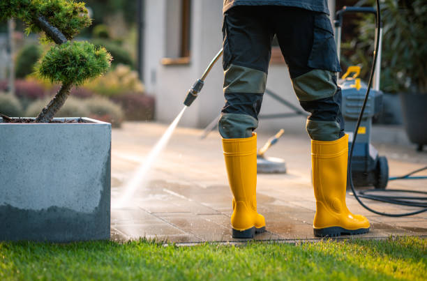 Best Roof Power Washing Services  in Albertson, NY